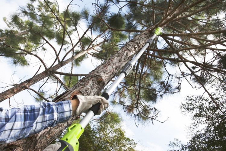 высоторез-сучкорез гринворкс в работе.jpg
