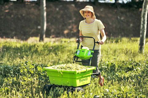 greenworks_g40gc_40v