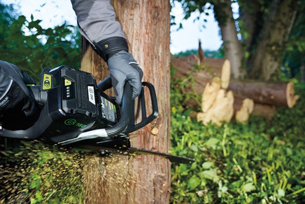 цепная пила greenworks