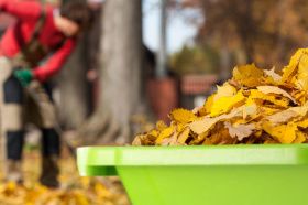 Осенние работы на даче и подготовка сада к зиме
